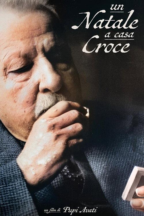 Un Natale a casa Croce 2024 official movie poster