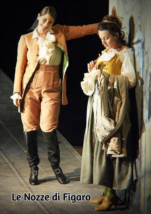 Le Nozze di Figaro - Wiener Staatsoper 2014 official movie poster