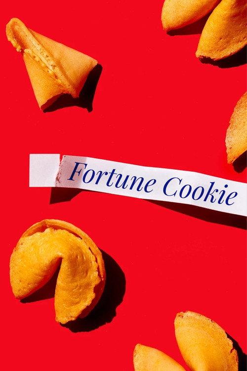 Fortune Cookie 1991 official movie poster