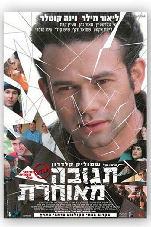 Delayed Reaction 2004 official movie poster