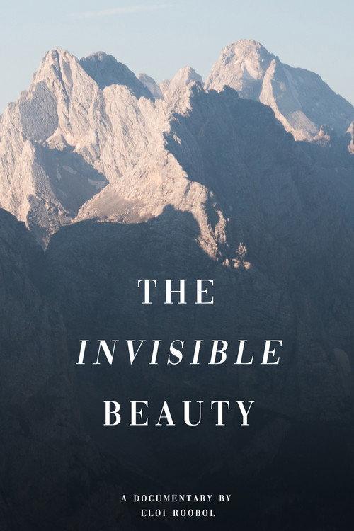 The Invisible Beauty 2018 official movie poster