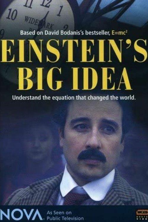 Einstein's Big Idea 2005 official movie poster