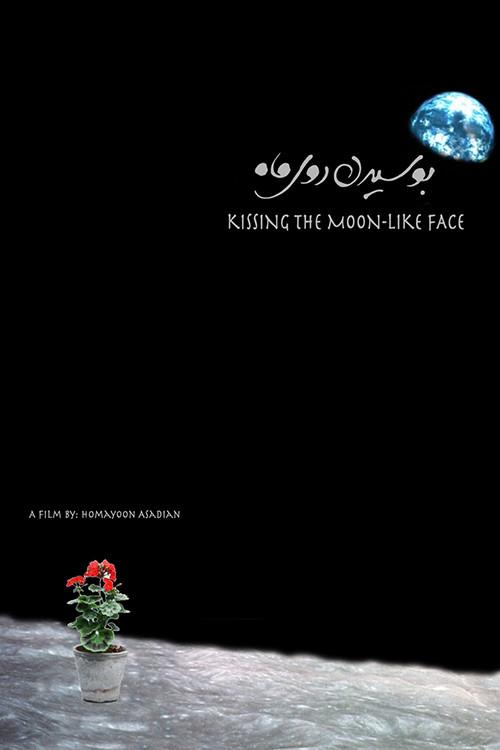 Kissing the Moon-Like Face 2012 official movie poster