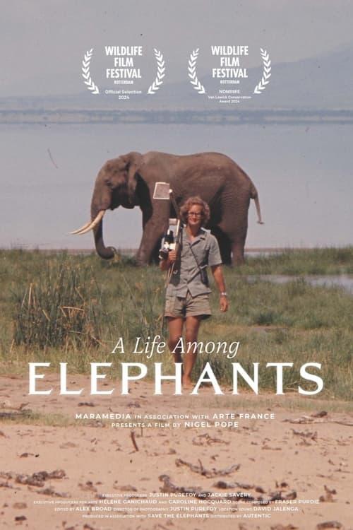 A Life Among Elephants 2024 official movie poster