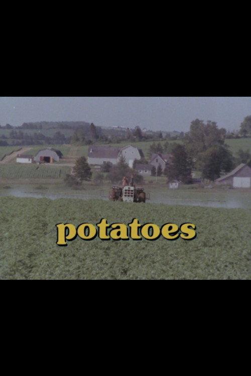 Potatoes 1976 official movie poster
