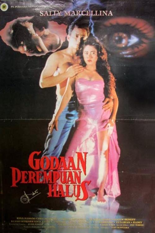 The Temptation of a Fine Woman 1993 official movie poster