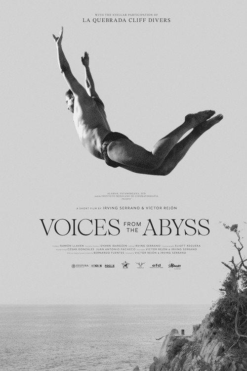 Voices from the Abyss 2025 official movie poster
