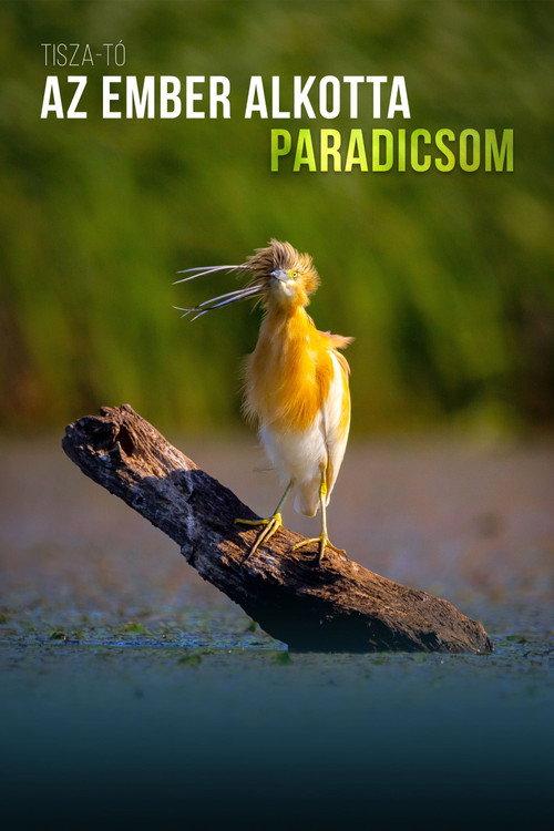 A Man-Made Paradise 2023 official movie poster