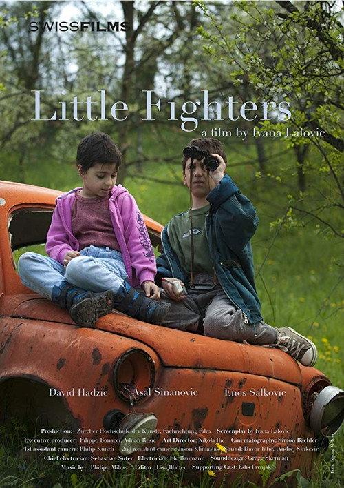 Little Fighters 2010 official movie poster