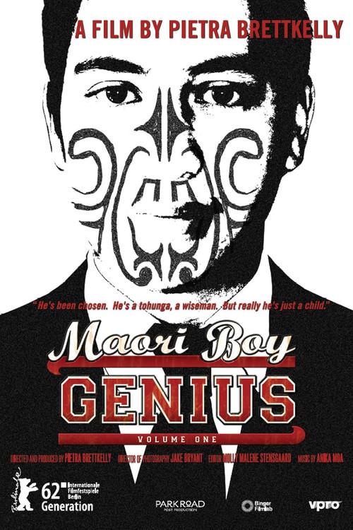 Maori Boy Genius 2011 official movie poster