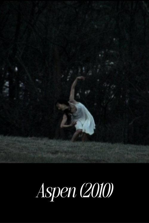 Aspen 2010 official movie poster