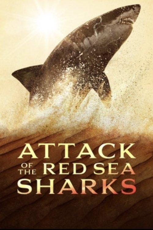 Attack of the Red Sea Sharks 2024 official movie poster