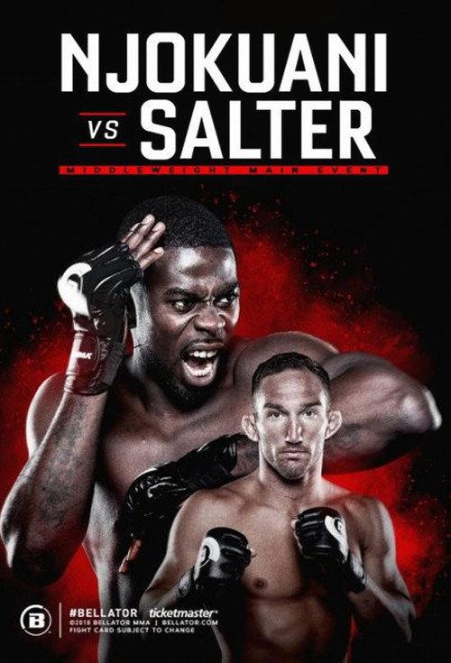 Bellator 210: Njokuani vs. Salter 2018 official movie poster
