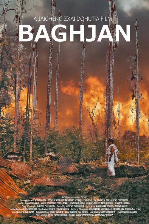 Baghjan 2024 official movie poster