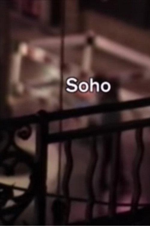 Soho 2005 official movie poster
