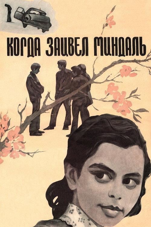 When Almonds Blossomed 1973 official movie poster