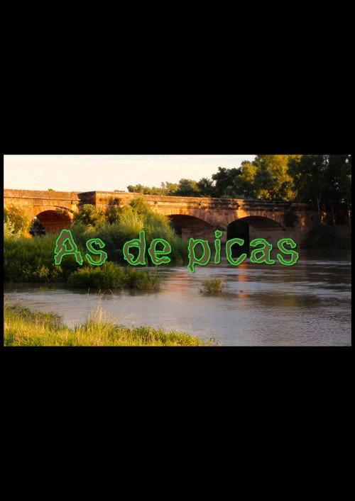As de Picas 2020 official movie poster