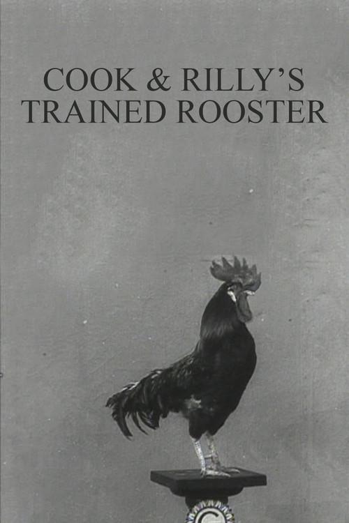 Cook & Rilly's Trained Rooster 1910 official movie poster