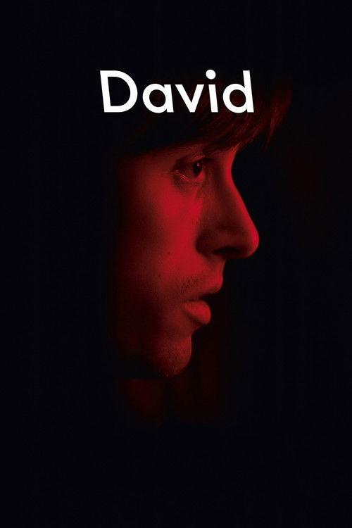 David 2015 official movie poster