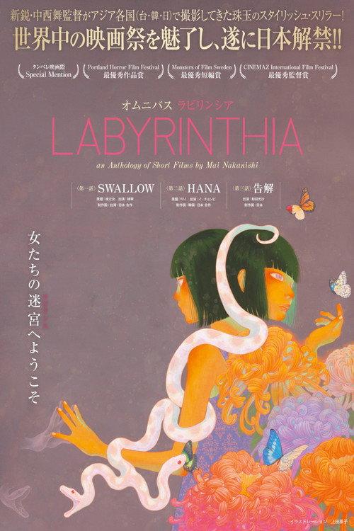 LABYRINTHIA／ラビリンシア 2025 official movie poster