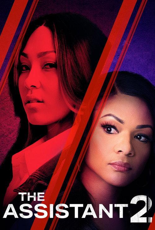 The Assistant 2 2024 official movie poster