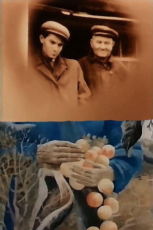 In the White Cold, the Sun of Ukraine 1992 official movie poster