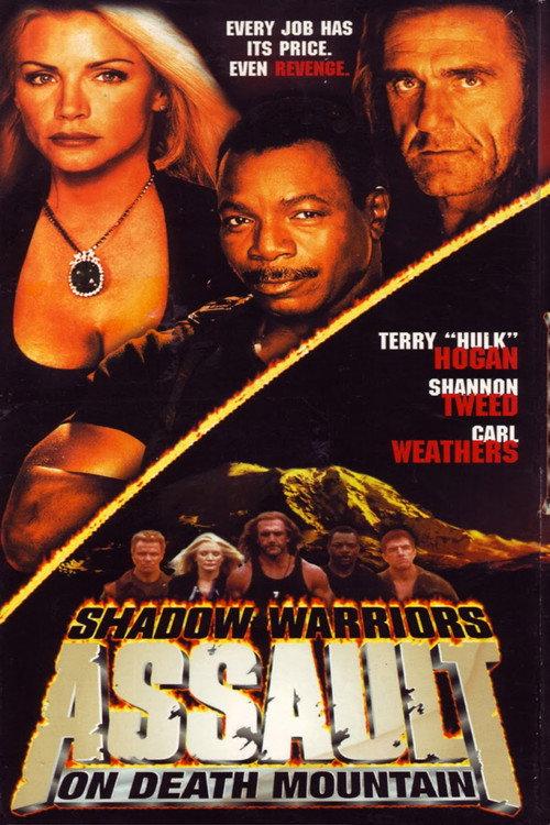 Assault on Death Mountain 1999 official movie poster