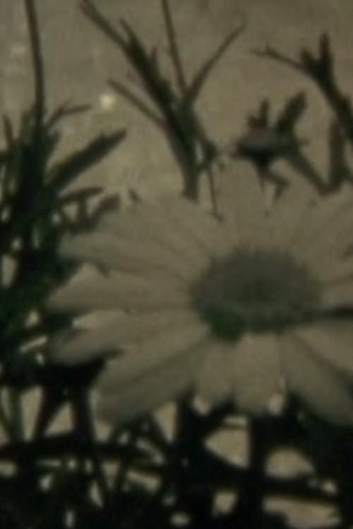 Blumenhysterie 1989 official movie poster