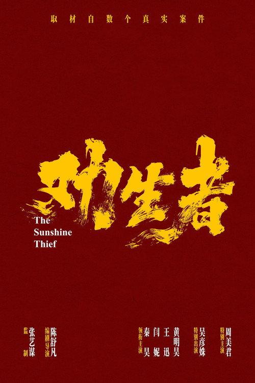 Sunshine Thief  official movie poster