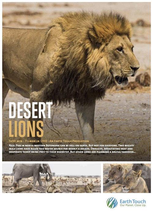 Desert Lions 2017 official movie poster