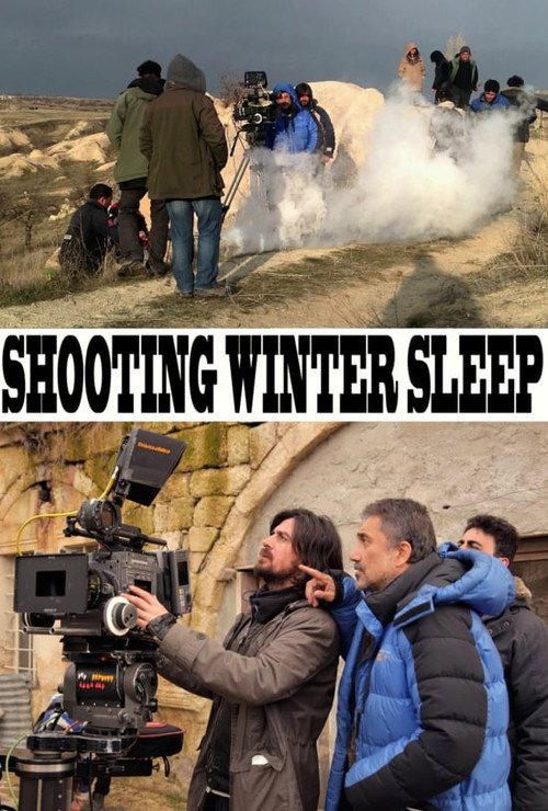 A Long Cold Winter 2014 official movie poster