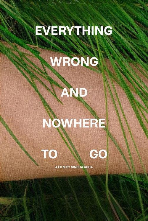 Everything Wrong and Nowhere to Go 2022 official movie poster