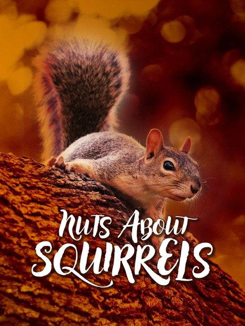 Nuts About Squirrels 2022 official movie poster