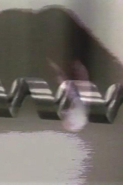 My TV Dictionary: The Drill 1986 official movie poster
