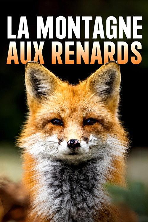 The Fox Mountain 2022 official movie poster