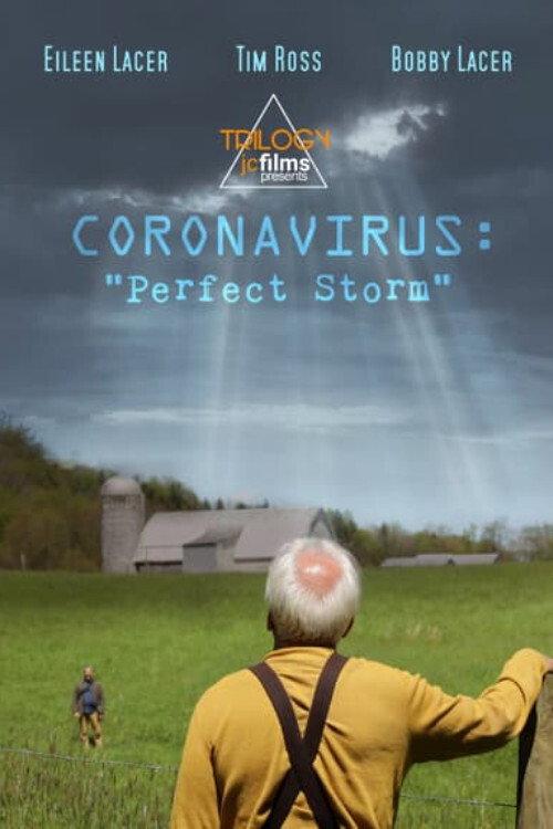 Coronavirus: Perfect Storm 2020 official movie poster