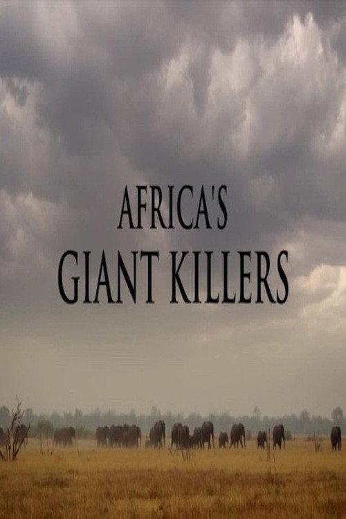 Africa's Giant Killers 2014 official movie poster