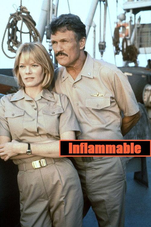 Inflammable 1995 official movie poster