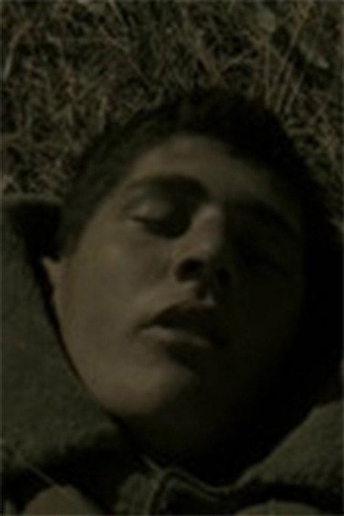 A Soldier's Dream 1995 official movie poster