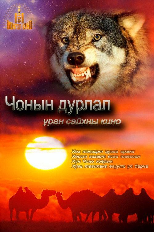 Loves of a Wolf 2010 official movie poster