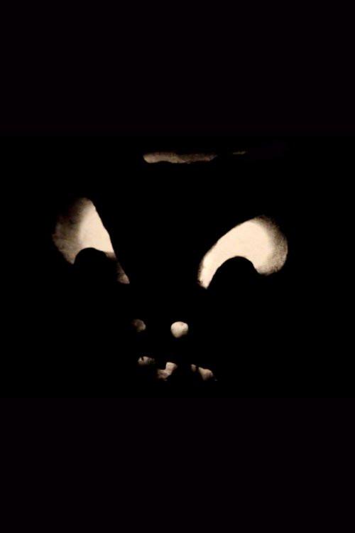 Jack-O-Lanterns 1974 official movie poster