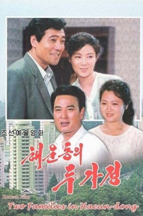 Two Families In Haeun-Dong 1996 official movie poster