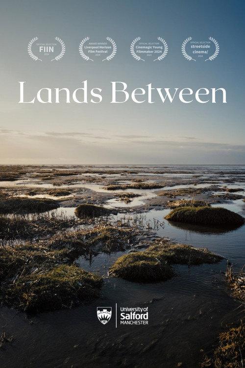 Lands Between 2024 official movie poster