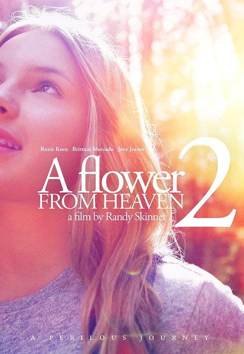 A Flower from Heaven 2: A Perilous Journey 2017 official movie poster