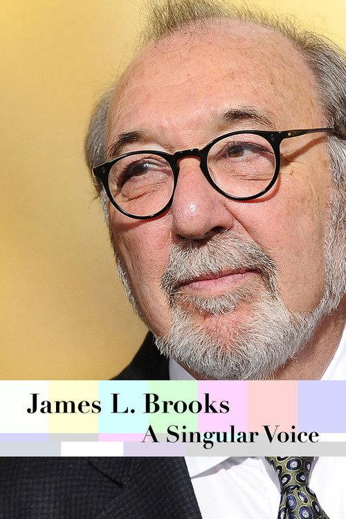 James L. Brooks: A Singular Voice 2011 official movie poster