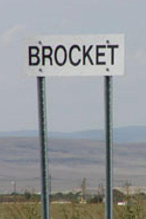 Brocket 99: Rockin' the Country 2006 official movie poster