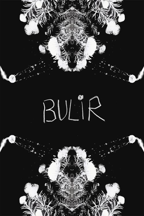 BULIR 2024 official movie poster