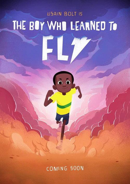 The Boy who Learned to Fly 2015 official movie poster
