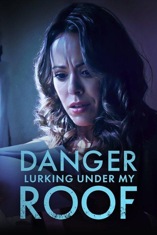 Living Next to Danger 2023 official movie poster