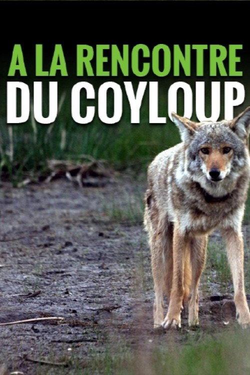 A la rencontre du coyloup 2013 official movie poster